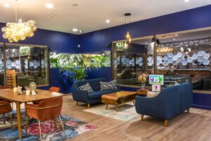 Expert Vision Petitsalonbleu